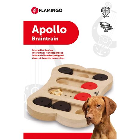 Leksak aktivitet trä Apollo