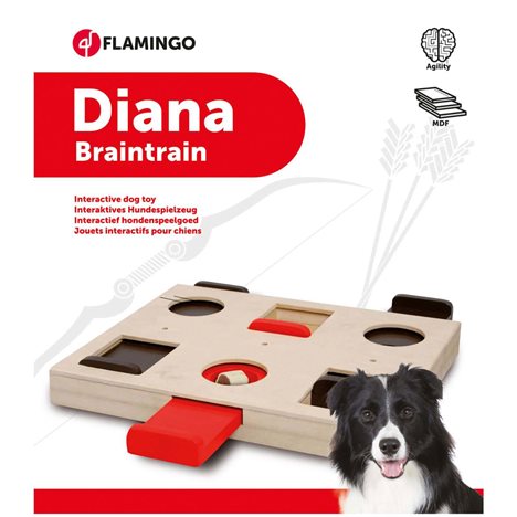 Leksak aktivitet trä Diana