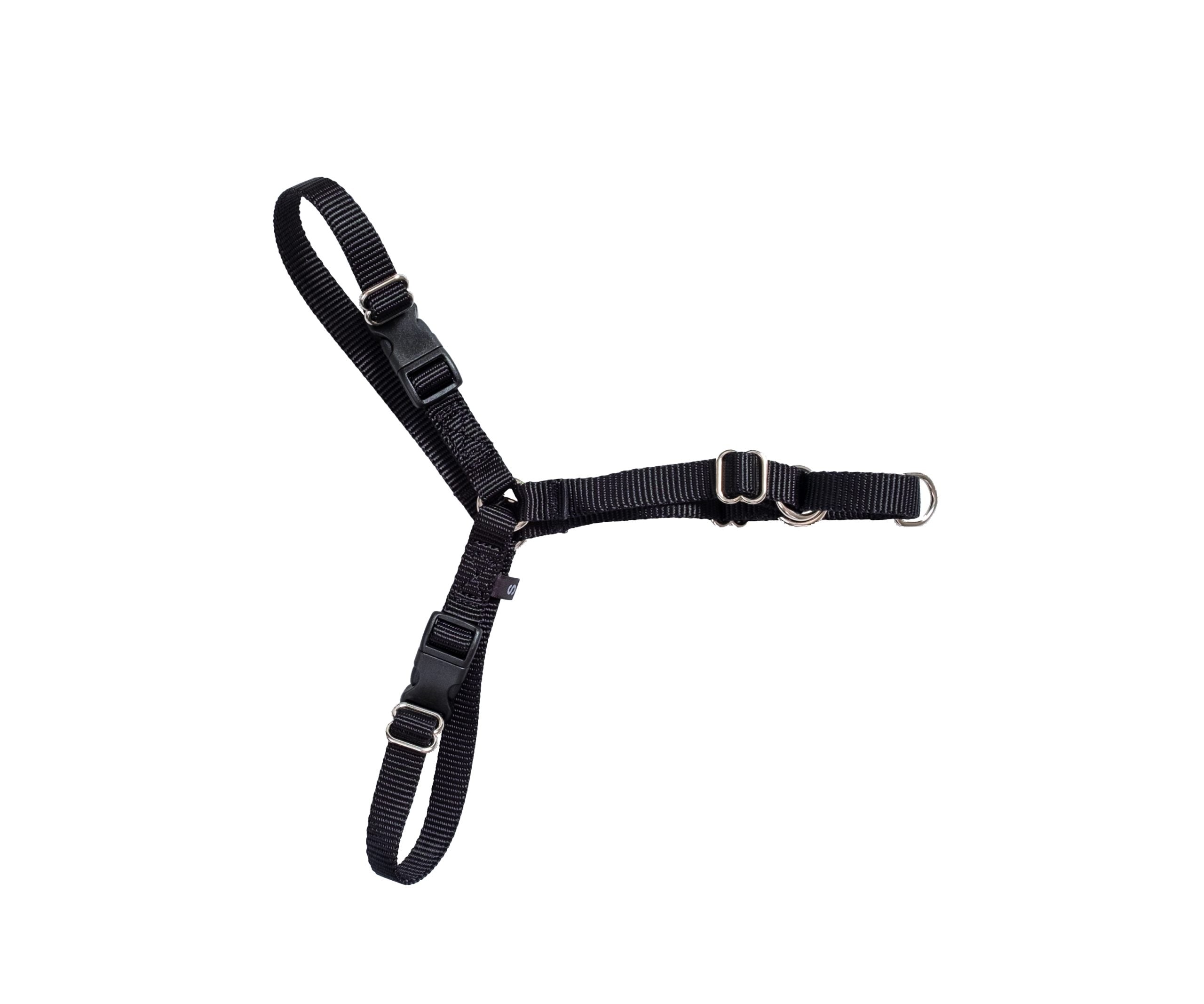 Active Canis Dog Harness