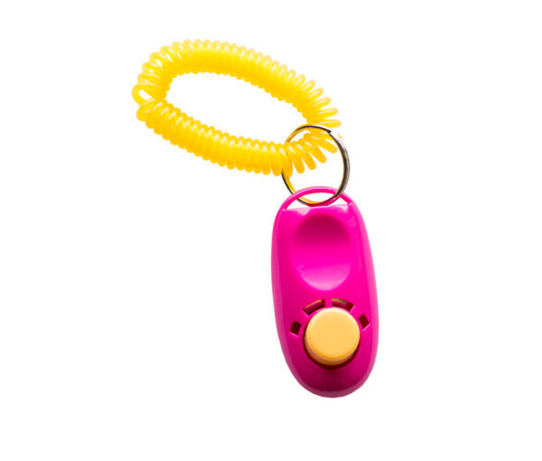 Active Canis Clicker with spiral wristband