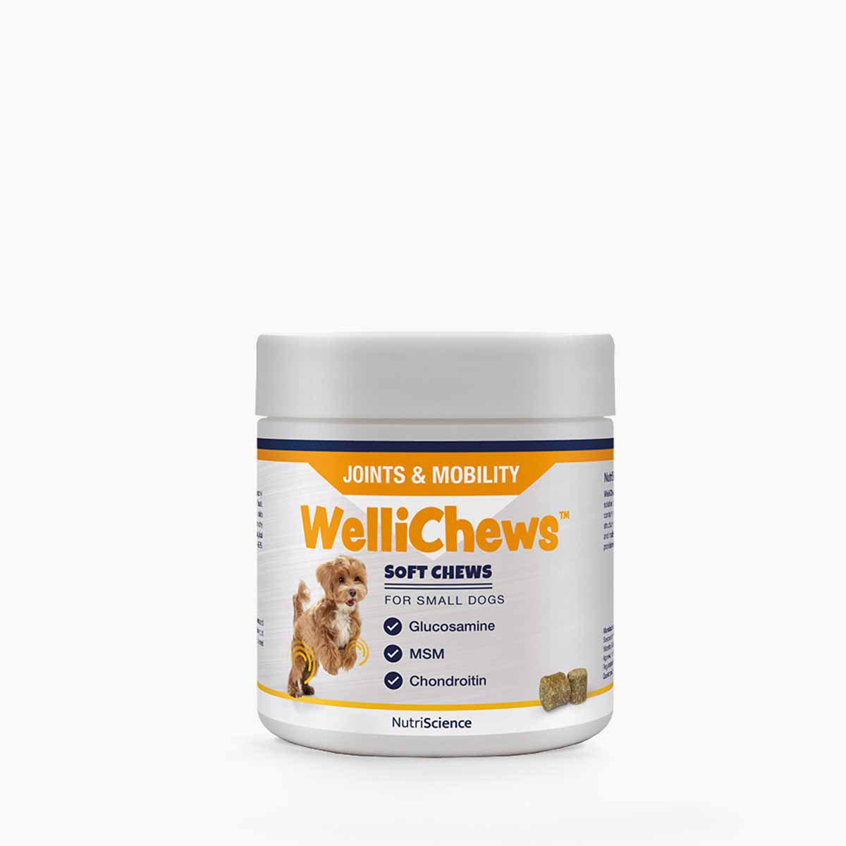 Wellichews Joint S Dog/Cat SE/FI120 st