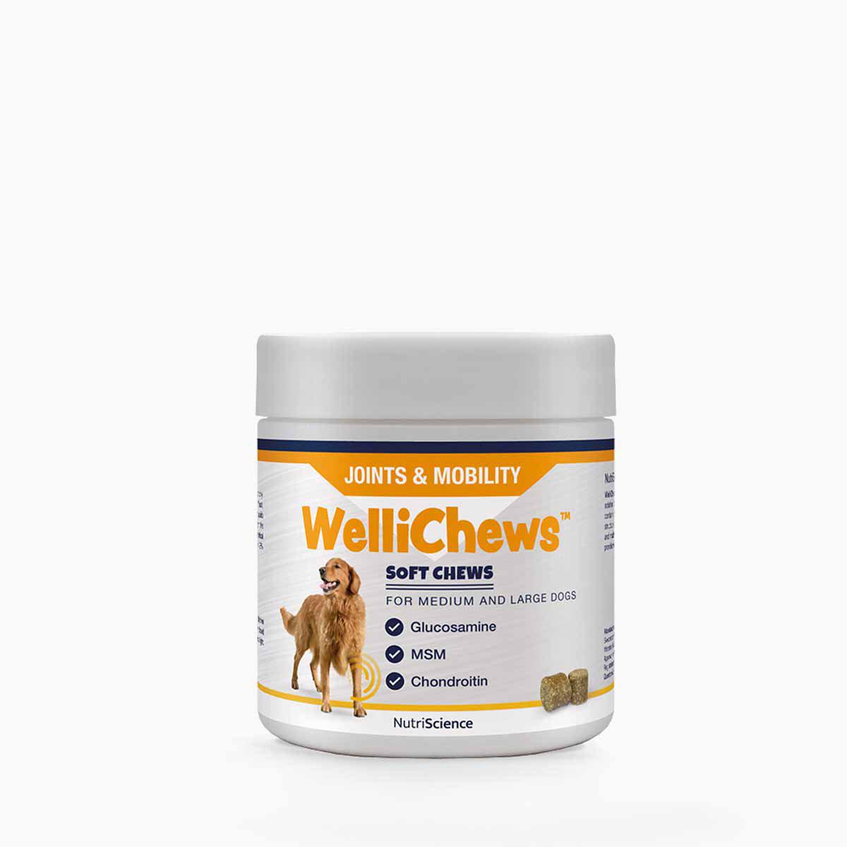 Wellichews Joint M/L Dog SE/FI60 st