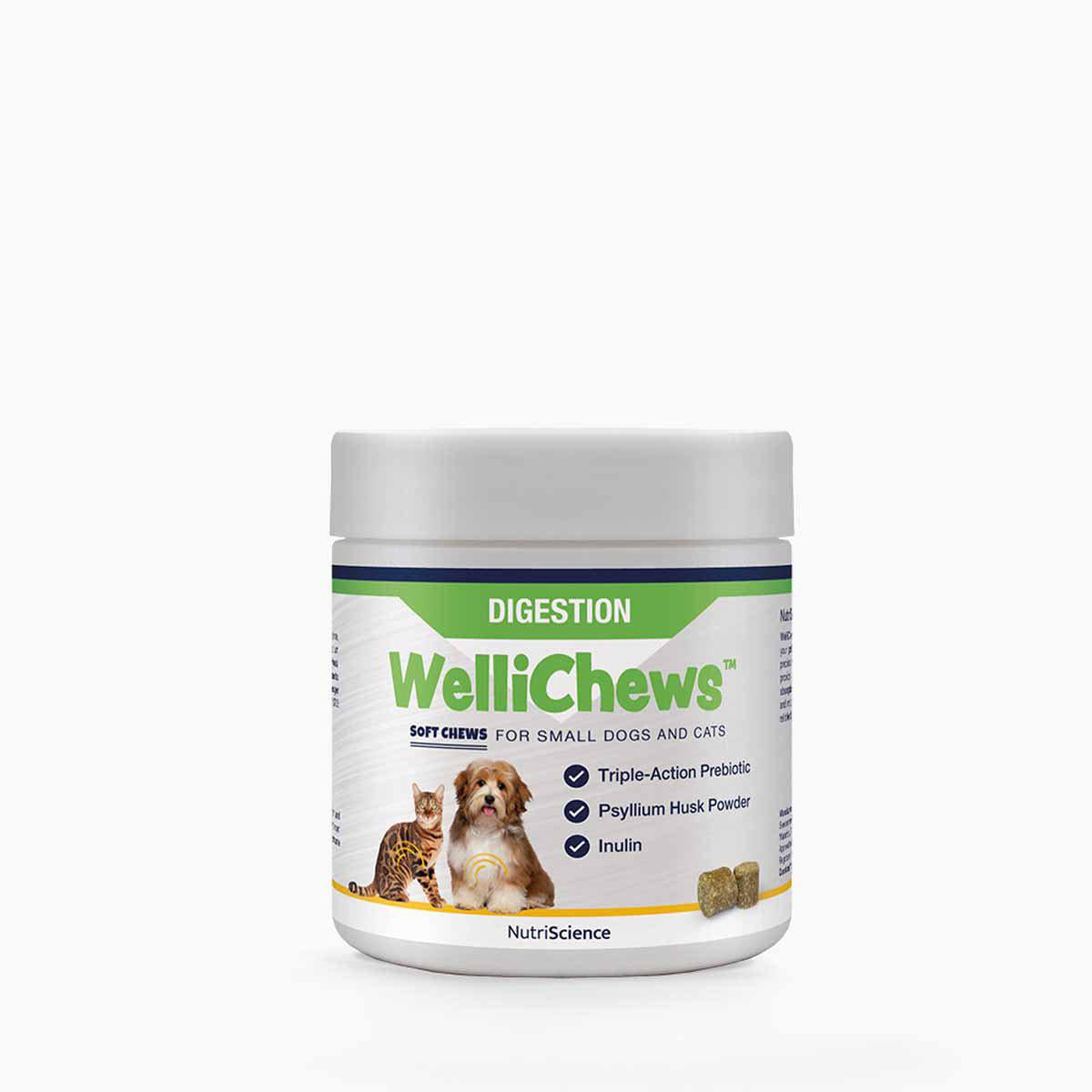 Wellichews Digestion Small Dog/Cat SE/FI120 st