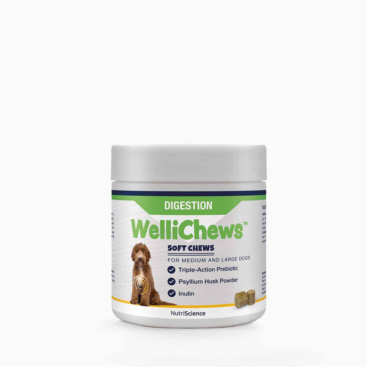 Wellichews Digestion M/L SE/FI60 st