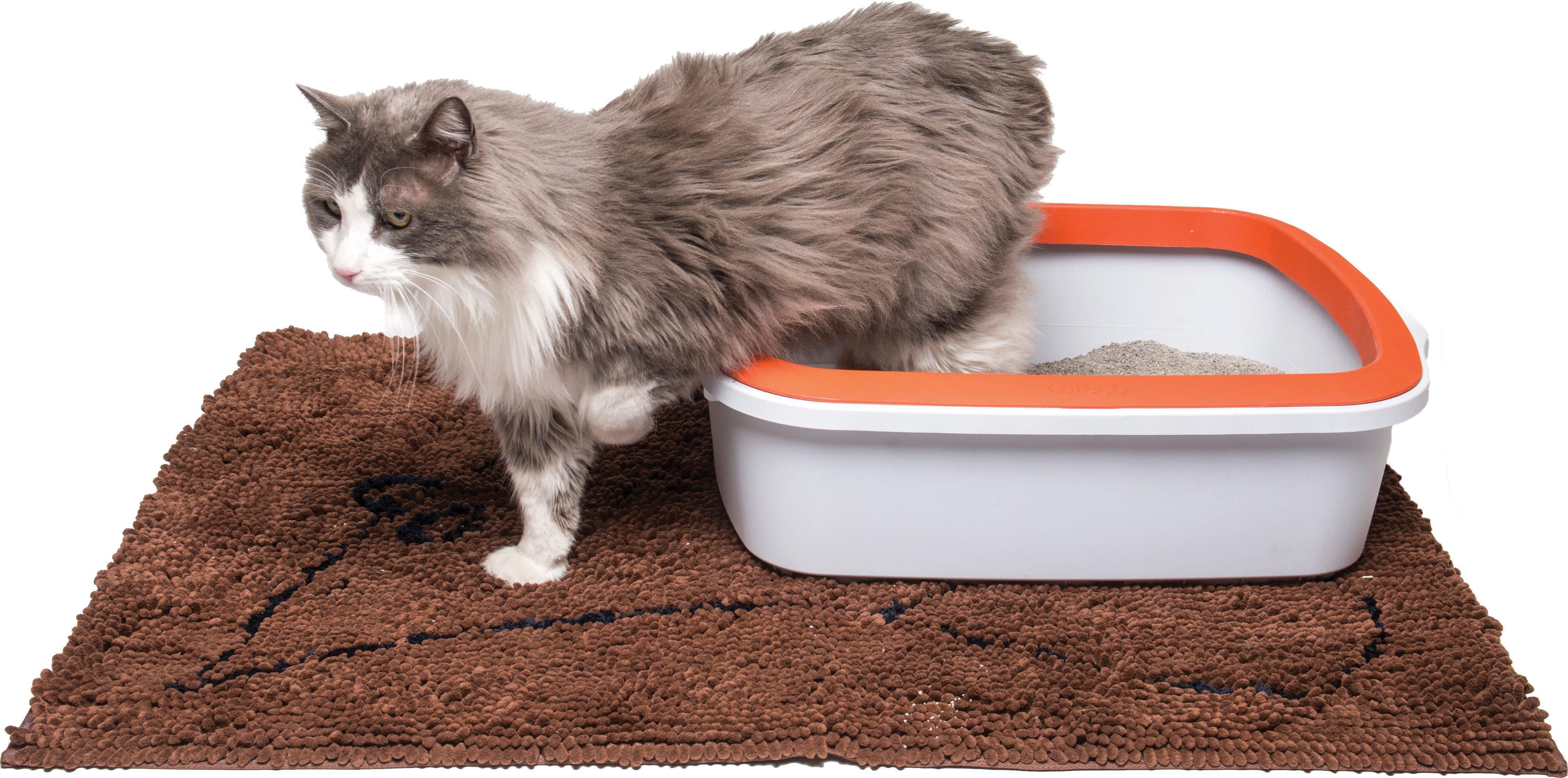 DGS Cat Litter Matta 88x66cm