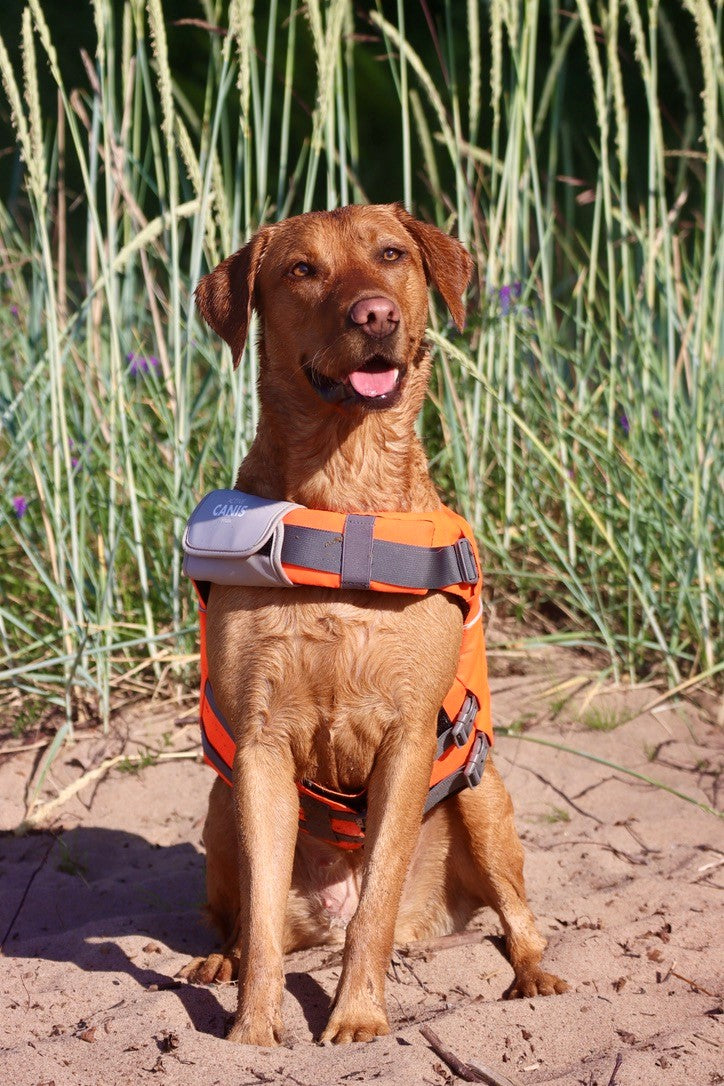 Active Canis Life Jacket