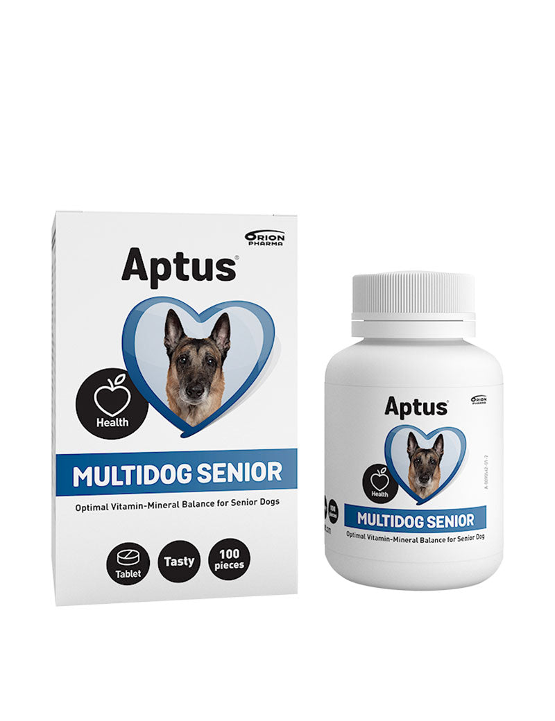 Multidog Senior