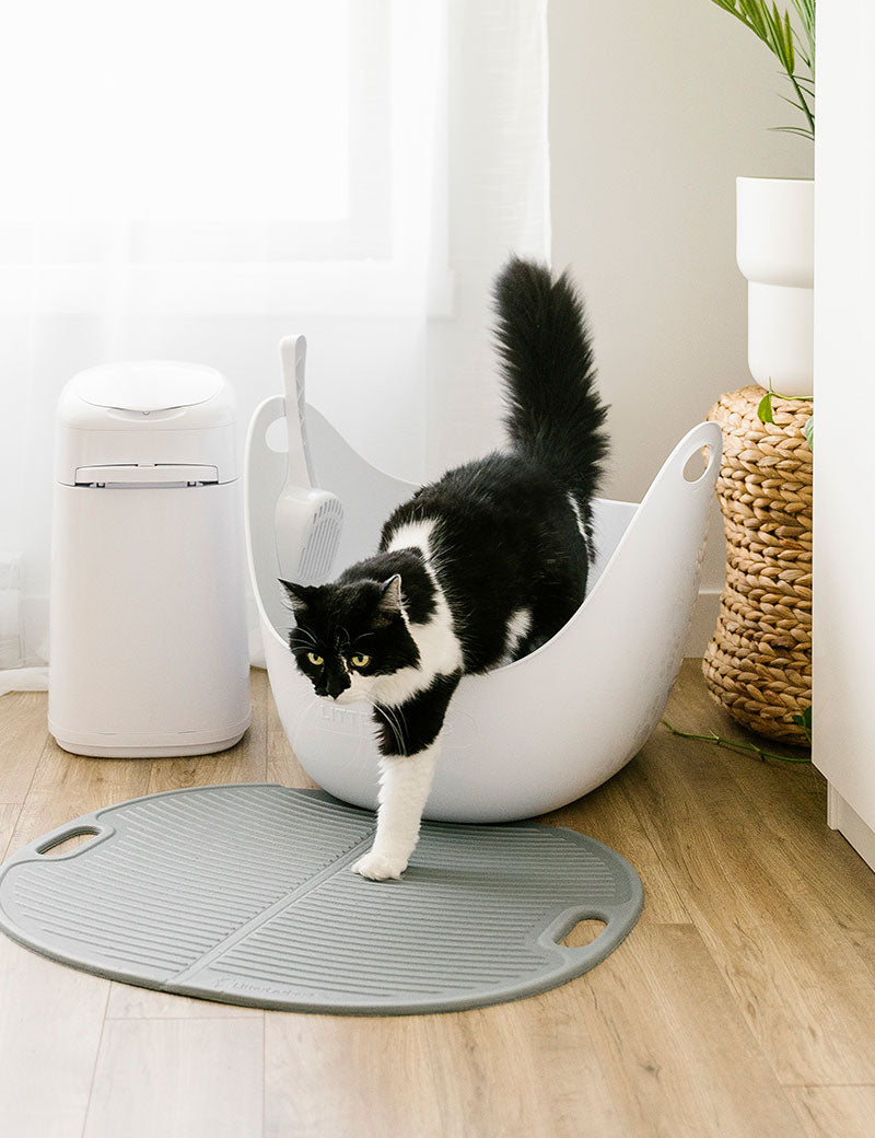 Litter Genie Litter Box white